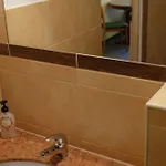 فندق مبيت وإفطار Academus - Pub, Rooms, Cider 4*