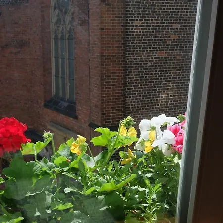Academus - Pub, Rooms, Cider Bed and Breakfast