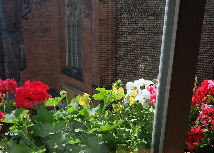 Academus Pub&guest House Bed and breakfast